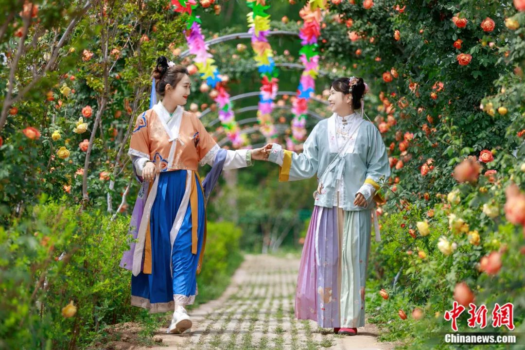 东西问丨孟晖：中华文化中的赏花传统有何美学内涵