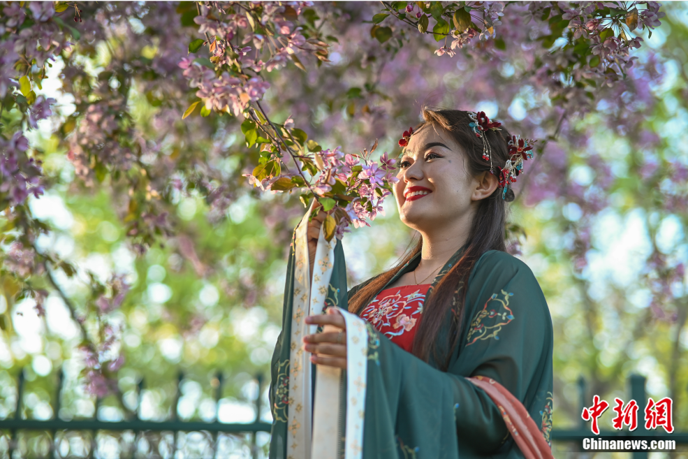 东西问丨孟晖：中华文化中的赏花传统有何美学内涵