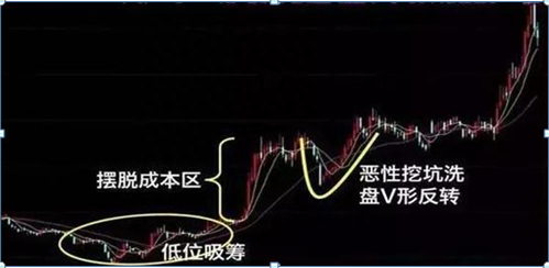 中国股市：为什么80%的散户炒股都赔钱因为他们连“筹码集中度达到12%”意味着什么都不了解