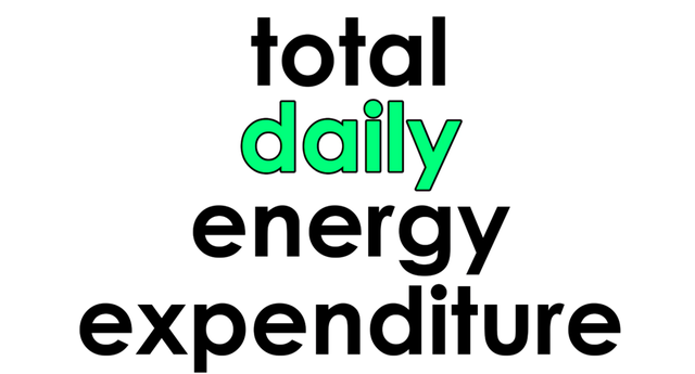 每日能量总消耗——TDEE，它是如何影响你的增肌或减脂的
