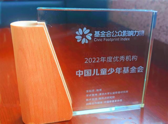 中国儿童少年基金会荣获“基金会公众影响力榜”2022年度优秀机构