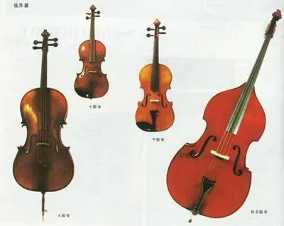 「乐器大家庭」之西洋弓弦乐器(一)概述