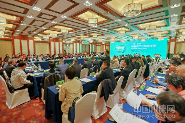 2024喀什新能源产业创新发展专题研讨会在京举行