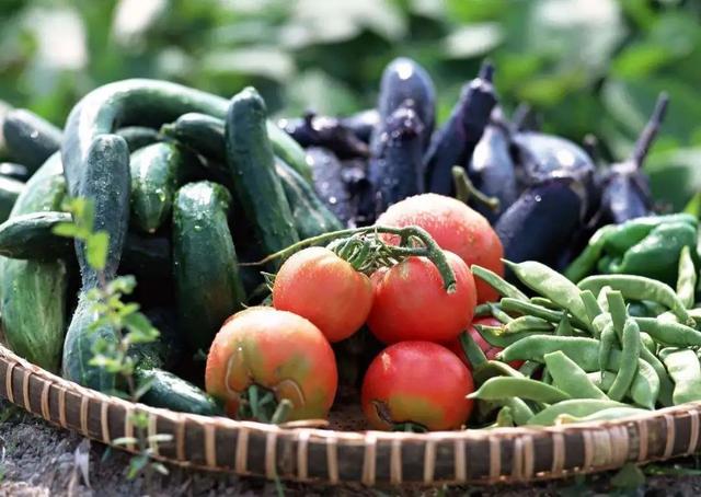 如何消除蔬菜、水果中的残留农药教你9种方法