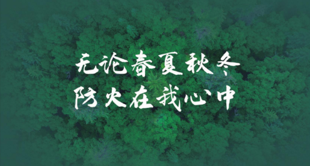 整治废弃汽车！宜宾这个地方发文了