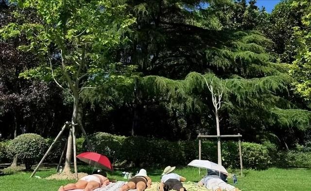 辣眼睛！上海女子光天化日解开内衣引发全网热议，评论区炸锅了
