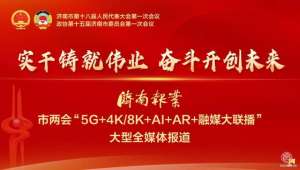 济南润华汽车园招聘(市人大代表王雅婷：建设新能源汽车服务园区 规范完善产业链条)