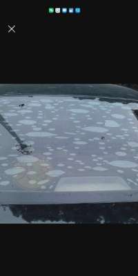 汽车泡沫盖(翻白眼]车子后挡风玻璃的膜，为什么总是起泡？)