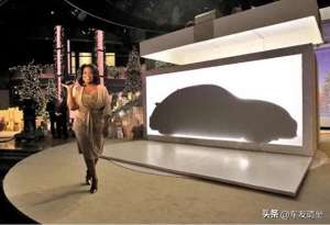 甲壳虫汽车座套(星光陨落再无后继终章：第三代大众VW甲壳虫（Typ 5C）已走远)