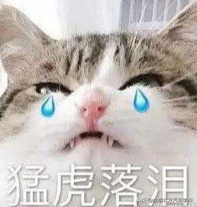 汽车美容改装培训(初中生创业就业学技术首选汽车美容培训学校)