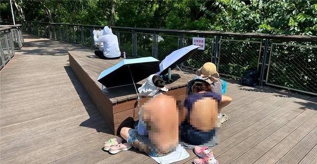 辣眼睛！上海女子光天化日解开内衣引发全网热议，评论区炸锅了