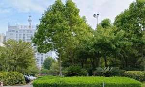 南宁汽车站订票(注意南宁站、南宁东站部分客运服务场所营业时间有调整→)