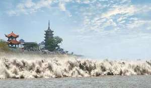 桐庐至衢州汽车时刻表(观潮必看第二十五届钱江（海宁）观潮节交通指南)