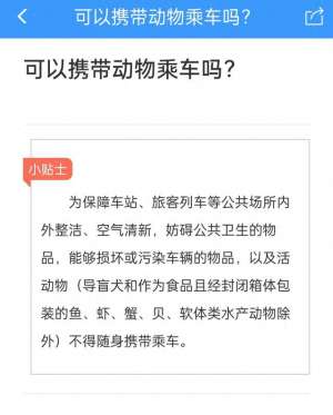 狗能上汽车吗(“宠物能否上高铁”引发网友热议  记者体验：托运限制条件较多)