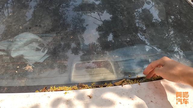 车子经常停树下，要经常检查这几个地方，免得漏水就麻烦了