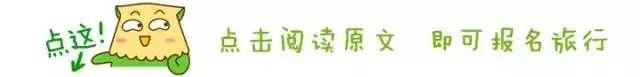 又见更望湖荞麦花开！一年一度，赏花踏青之旅，更望湖，布泉河纯玩一日游仅售68元！