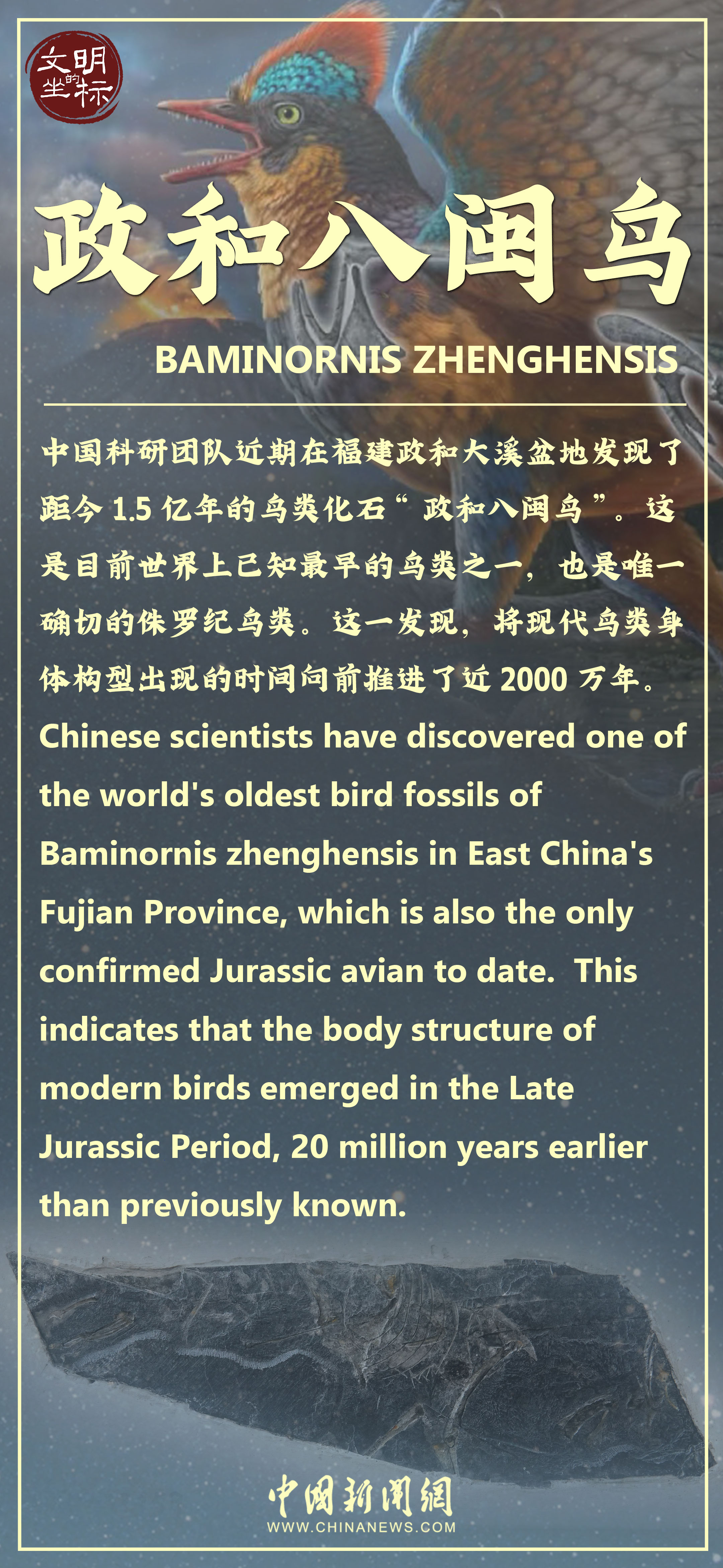 文明的坐标丨距今1.5亿年!“政和八闽鸟”改写鸟类演化历史