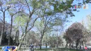 多地气温将达30℃以上 北方局地或有沙尘天气 一周天气速览→