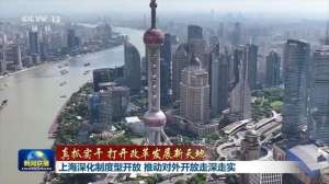 真抓实干 打开改革发展新天地丨深化制度型开放、打造内陆综合枢纽 解码沪渝发展新动力