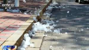 高敏预警！“过敏星人”噩梦又来了，持续一个多月