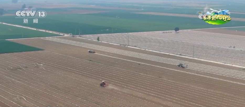 AI模型、“北斗”、物联网……智慧农业成为田间地头新常态