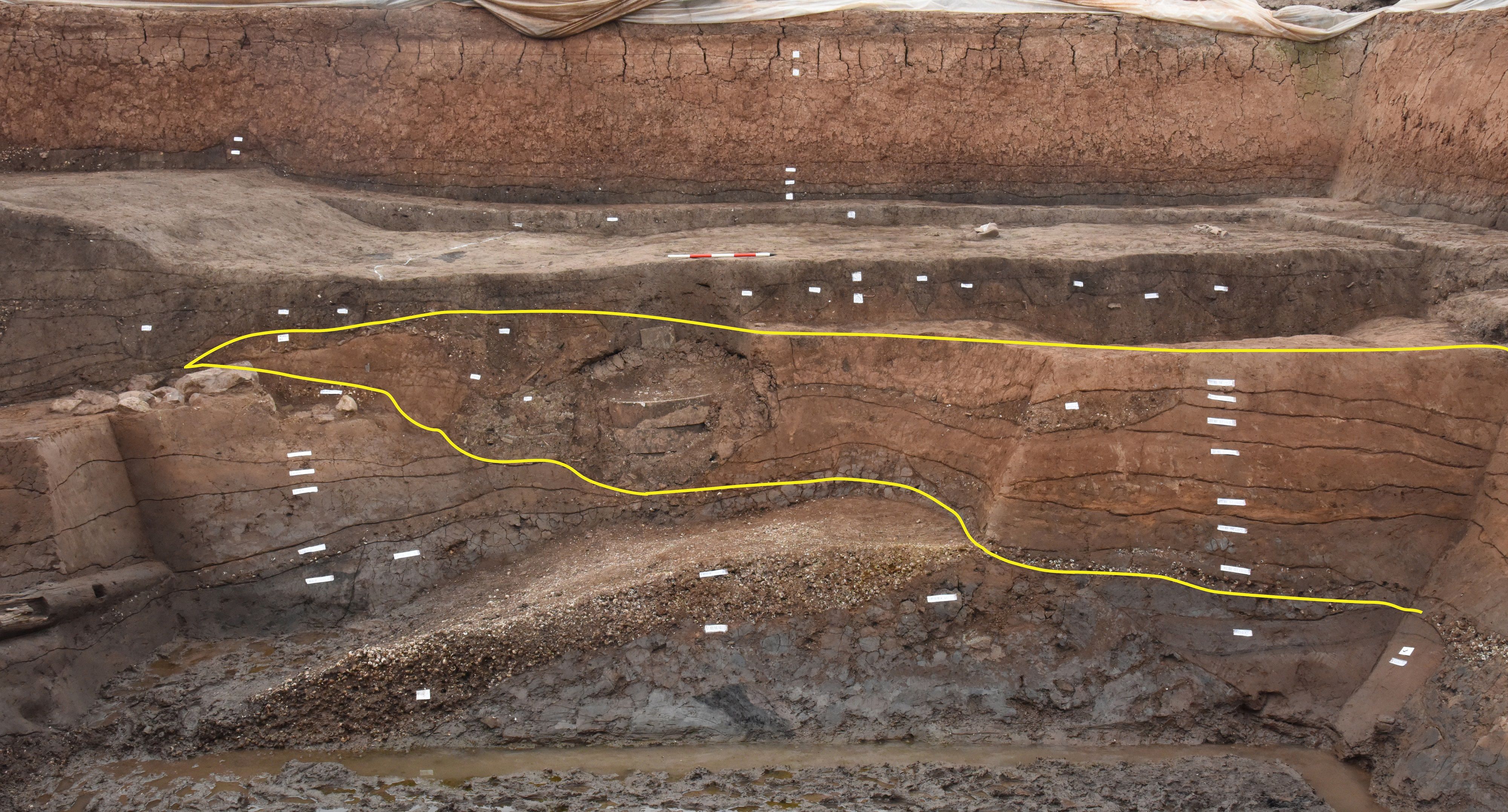 武王墩一号墓等入选 2024年度全国十大考古新发现公布