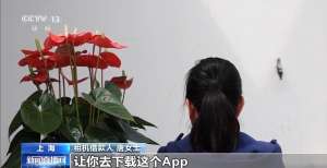 租机贷变高利贷 租手机套现不是“馅饼”是陷阱