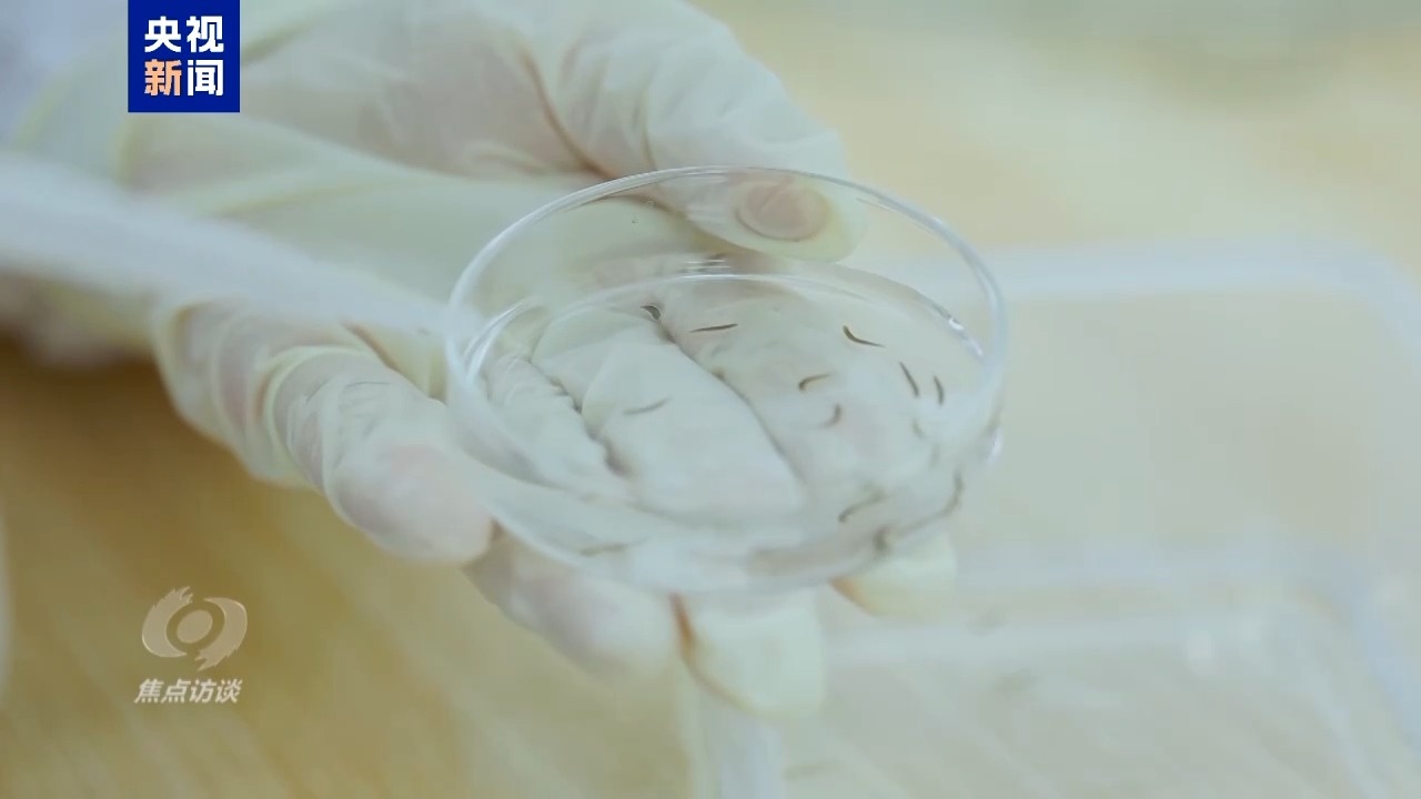 焦点访谈丨中国航天步履不停 太空家园再迎新