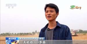 三夏时节迎丰收 小麦、稻虾、西瓜解锁农田增收“密码”