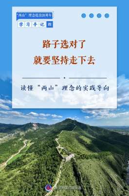 学习手记丨路子选对了就要坚持走下去——读懂“两山”理念的实践导向