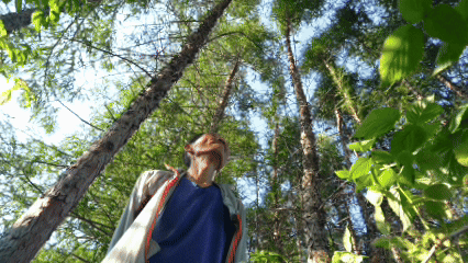 纪录片｜山水长歌