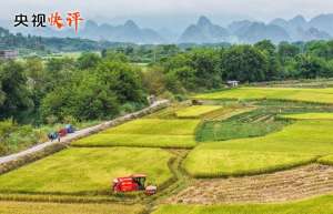 【央视快评】努力建设宜居宜业和美乡村 共同奔向中国式现代化的美好未来