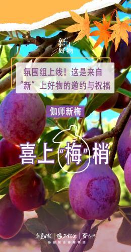 氛围组上线！这是来自“新”上好物的邀约与祝福